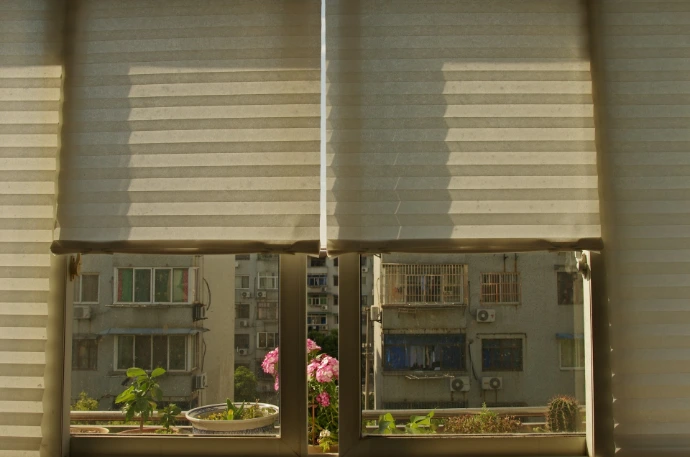 white window blinds